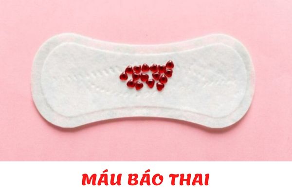 Máu báo thai là một trong những dấu hiệu nhận biết có thai sớm